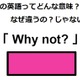 この英語ってどんな意味？「Why not?」 画像
