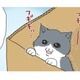 ダンボール箱の中で必死に鳴いてる仔猫を発見…こんな小さいのに誰が捨てたの？【おさんぽですし！　おしゃべり犬とイライラ猫の日記 #18】 画像