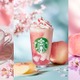 【スタバ新作】「桜 咲くよ 白桃 フラペチーノ」など3種登場 春は“白桃と桜”で選べる美味しさ 画像