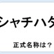 【クイズ】シャチハタって何だか言える？意外に知らない！ 画像