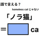 英語で「ノラ猫」は何て言う？ 画像
