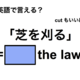 英語で「芝を刈る」は何て言う？ 画像
