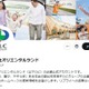 オリエンタルランド、千葉県豪雨を受け義援金1000万円拠出 従業員有志の募金も実施へ 画像