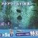 大洗水族館「東京都民の日」にあわせて割引キャンペーン 画像