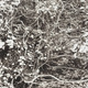 市川孝典、個展「FLEETING DAYS」10月7日より渋谷・NONLECTURE book/artsで開催 画像