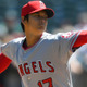 大谷と同じ歳！すでに世界的に有名なヤングスター、TOP5 画像