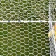GKがゴールネットに突き刺さる！ELでの「衝撃シーン」がこれ 画像