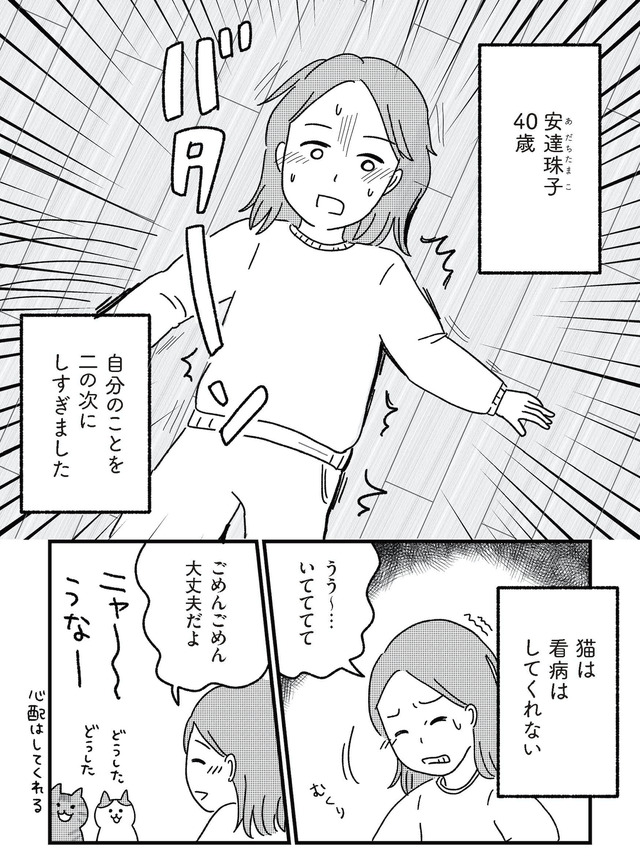 ねこ婚 猫のための交際ゼロ日婚