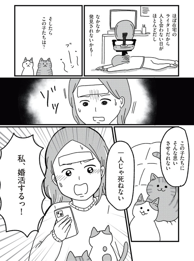 ねこ婚 猫のための交際ゼロ日婚