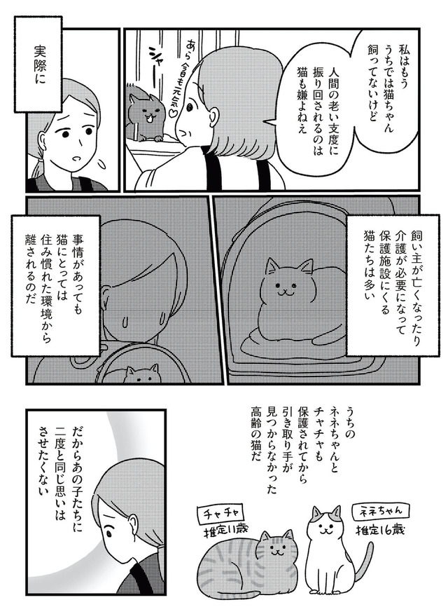 ねこ婚 猫のための交際ゼロ日婚