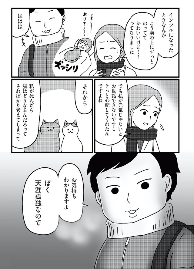 ねこ婚 猫のための交際ゼロ日婚