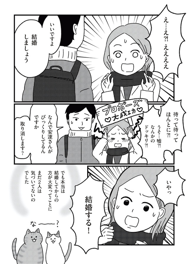 ねこ婚 猫のための交際ゼロ日婚