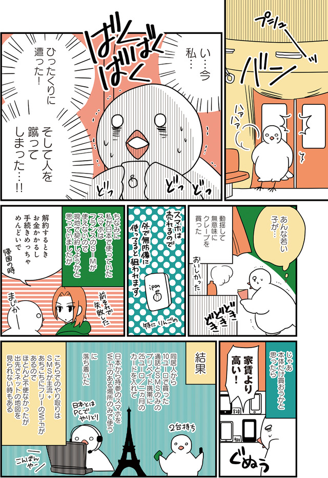 フランスはとにっき: 海外に住むって決めたら漫画家デビュー