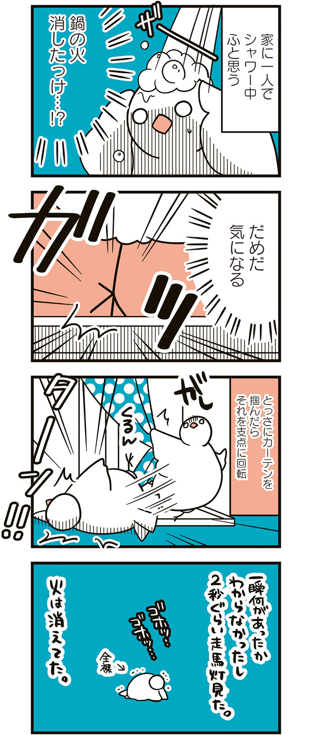フランスはとにっき: 海外に住むって決めたら漫画家デビュー
