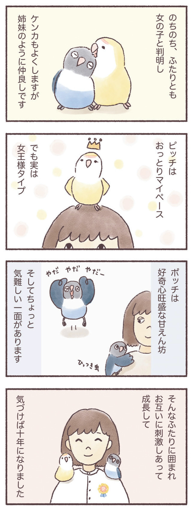 うちのインコたちは今日もおしゃべり