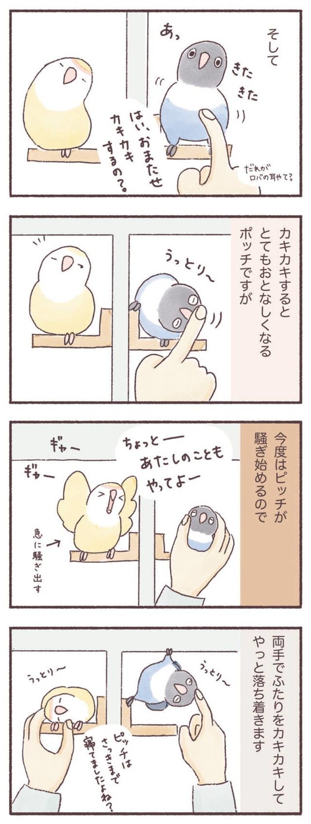 うちのインコたちは今日もおしゃべり