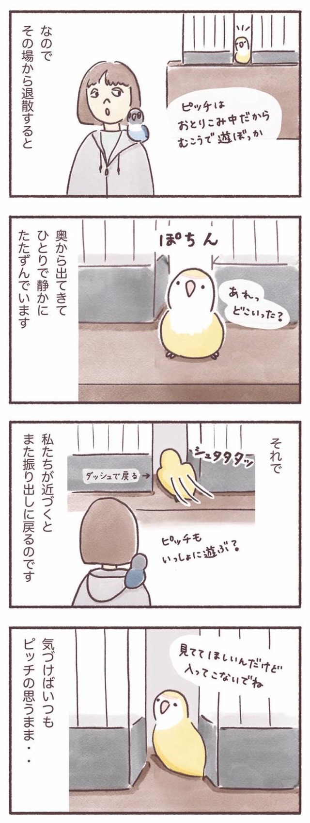 うちのインコたちは今日もおしゃべり