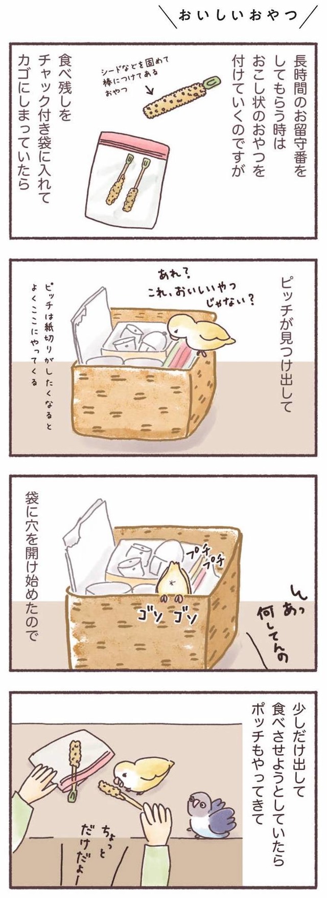 うちのインコたちは今日もおしゃべり