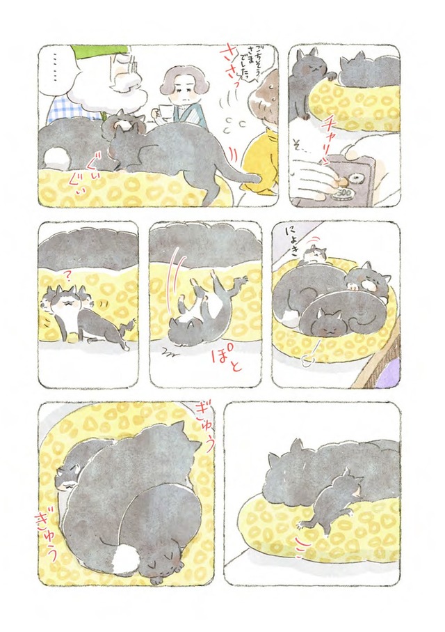 深夜３時のくろねこ喫茶