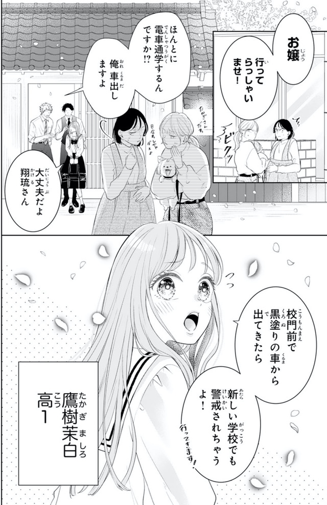 お嬢の愛は俺のもの