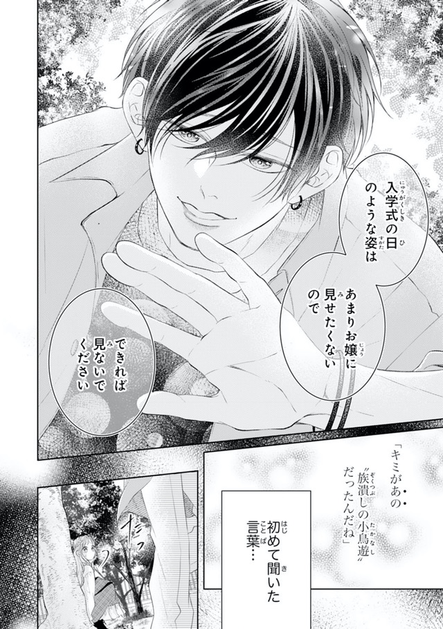 お嬢の愛は俺のもの
