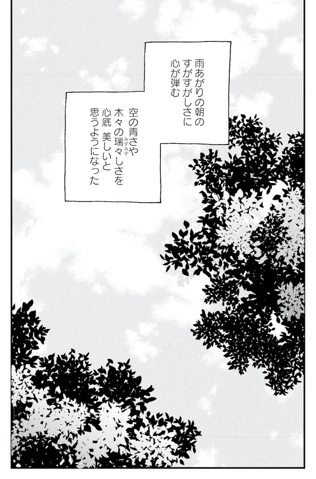 キセキノコイ