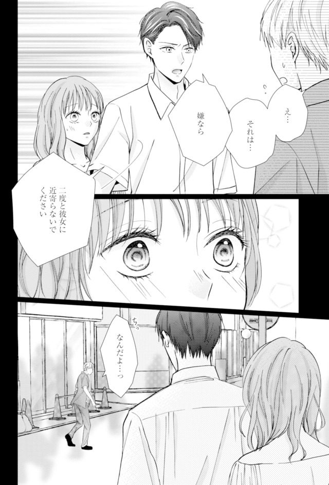 サレ妻の事情